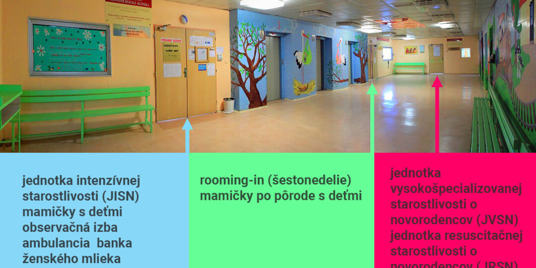 modrá: JISN - mamičky s deťmi, observácia, ambulancia, banka mlieka zelená: rooming-in ružová: JVSN, JRSN, JISN