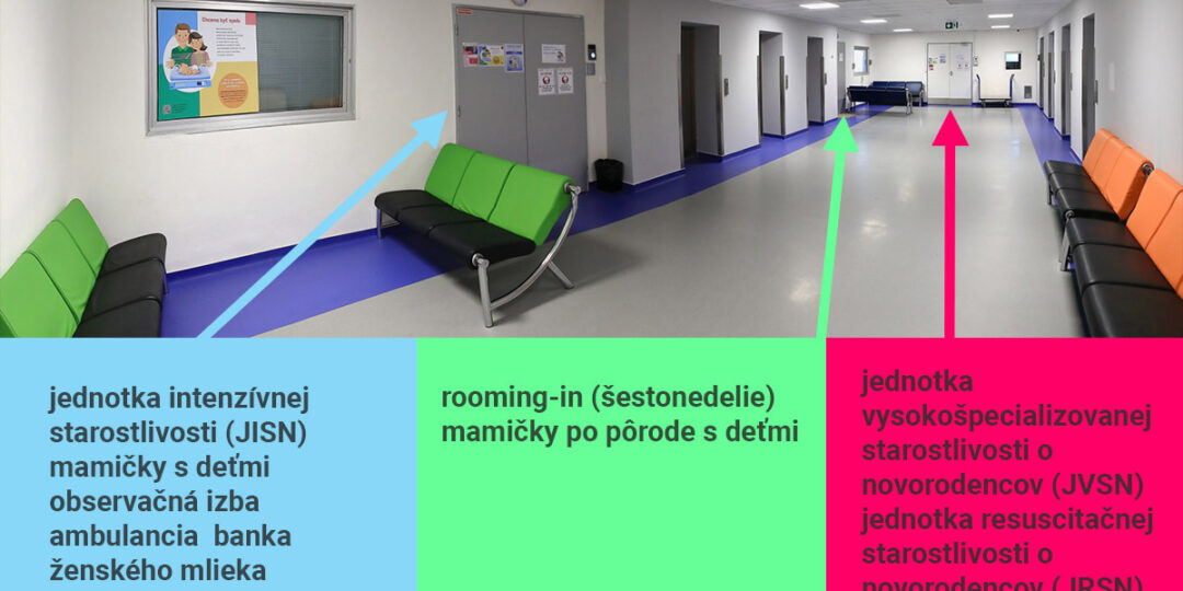 modrá: JISN - mamičky s deťmi, observácia, ambulancia, banka mlieka zelená: rooming-in ružová: JVSN, JRSN, JISN