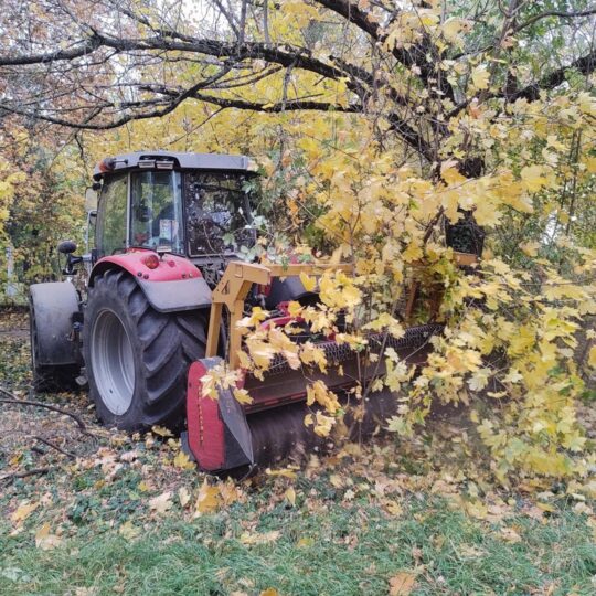 Vypilujeme nebezpečné stromy pri plote nemocnice