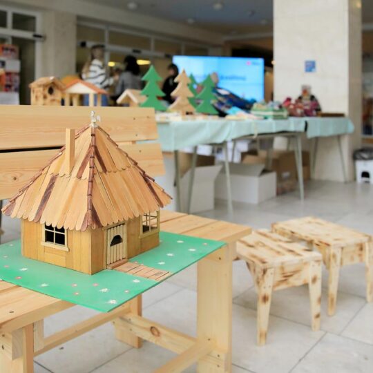 Predvianočná predajná výstava prác pacientov psychiatrického oddelenia