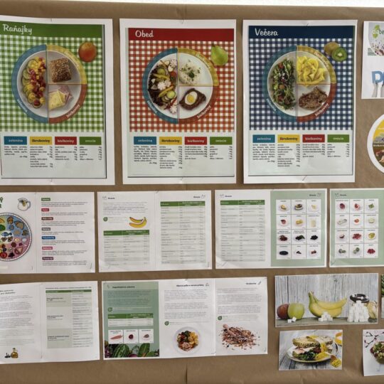 článok: Svetový deň diabetu Prevencia, merania aj odborné poradenstvo článok: Svetový deň diabetu Prevencia, merania aj odborné poradenstvo