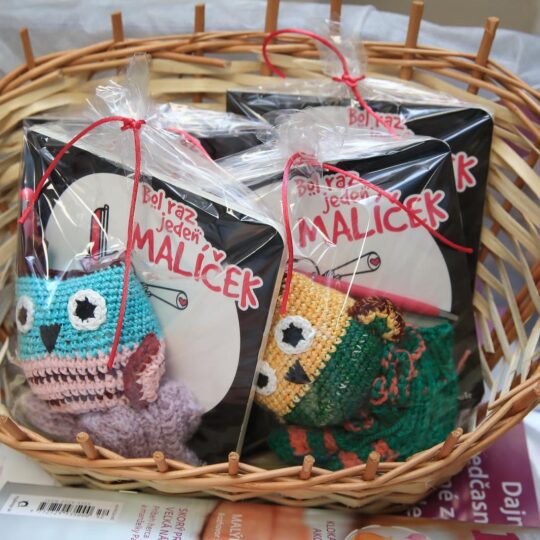 článok fnspnz - Svetový deň predčasne narodených detí 2025 článok fnspnz - Svetový deň predčasne narodených detí 2025