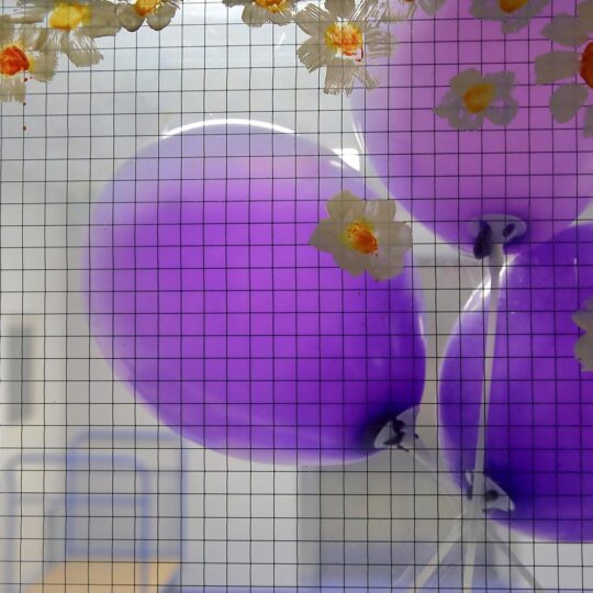 článok fnspnz - Svetový deň predčasne narodených detí 2025 článok fnspnz - Svetový deň predčasne narodených detí 2025