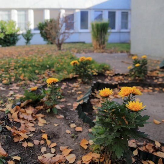 článok - Poznáte vermikompost?