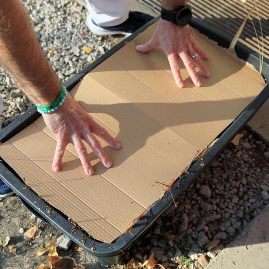 článok - Poznáte vermikompost?