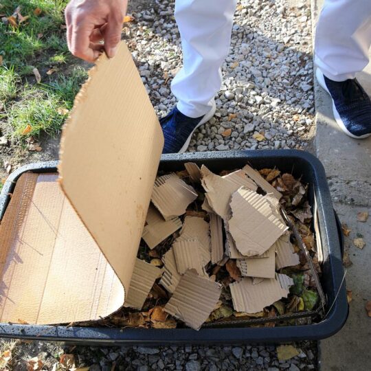 článok - Poznáte vermikompost?