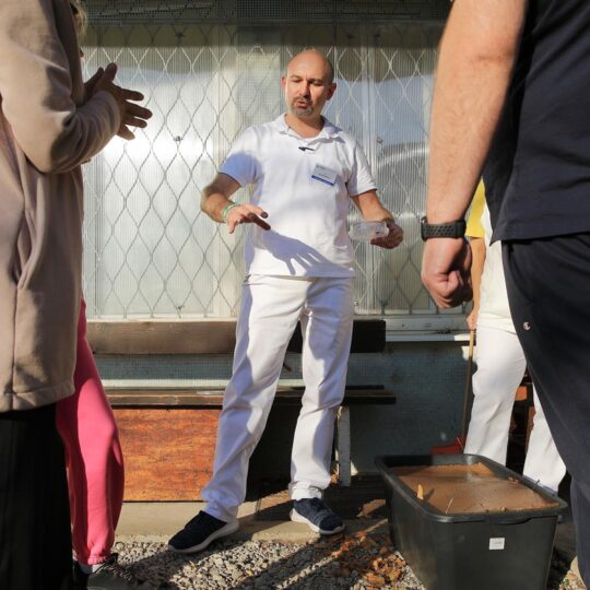 článok - Poznáte vermikompost?