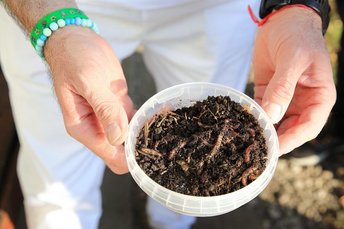 Poznate-vermikompost-3-1200x800.jpg