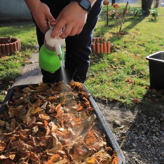 článok - Poznáte vermikompost?