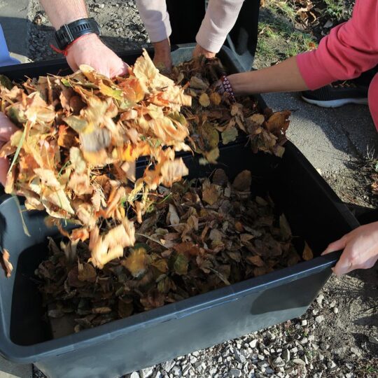 článok - Poznáte vermikompost?