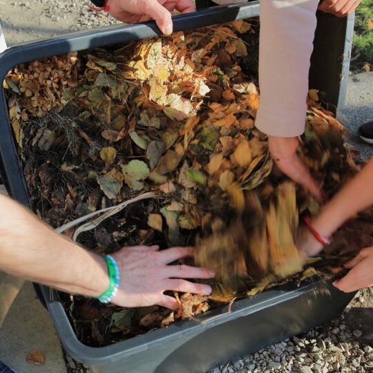 článok - Poznáte vermikompost?