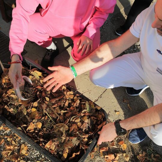 článok - Poznáte vermikompost?