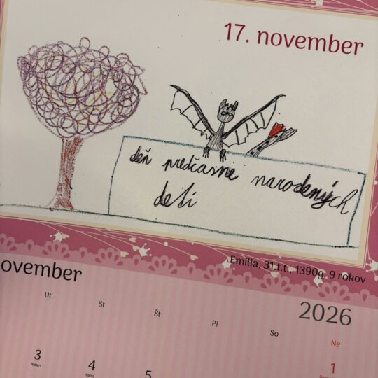 Vyšiel Kalendár malých umelcov 2026_FNsP NZ Vyšiel Kalendár malých umelcov 2026_FNsP NZ