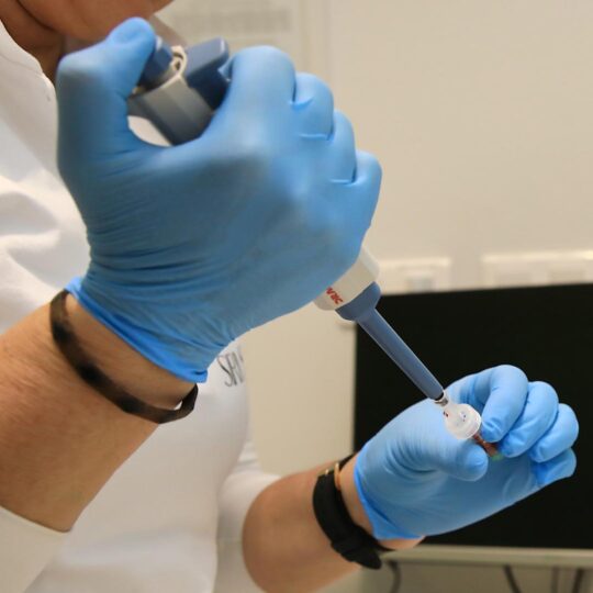 článok - Skrínig pečene pre našich zamestnancov článok - Skrínig pečene pre našich zamestnancov