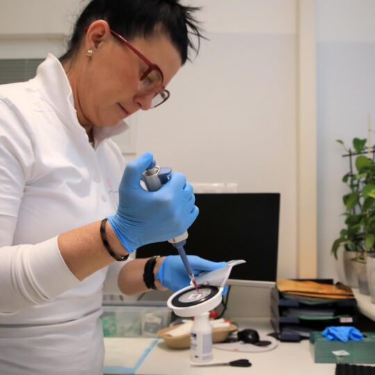 článok - Skrínig pečene pre našich zamestnancov článok - Skrínig pečene pre našich zamestnancov